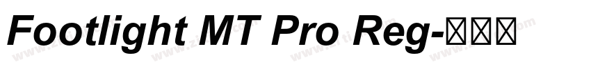 Footlight MT Pro Reg字体转换